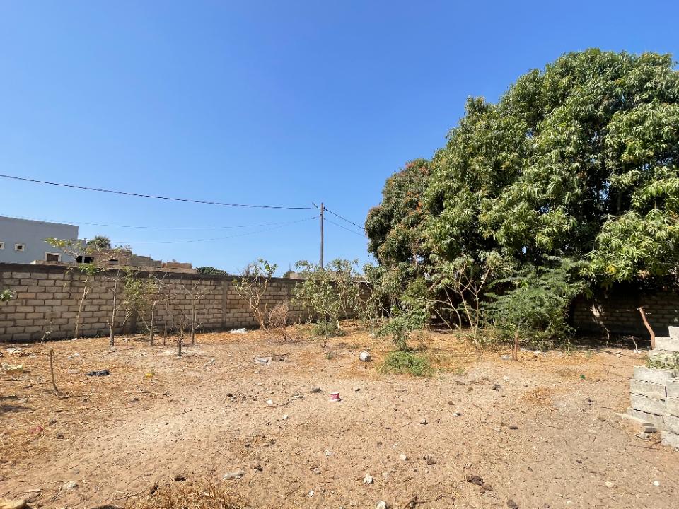 Annonce immobilière ref. T111