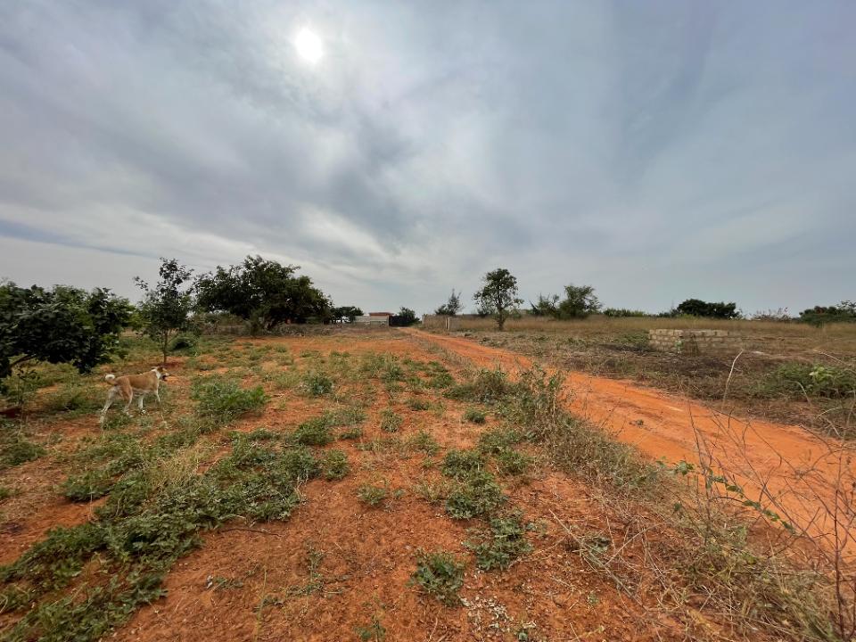 Annonce immobilière ref. T86