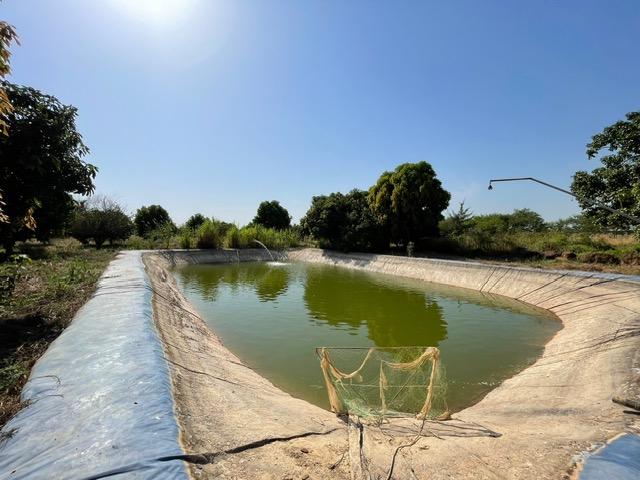 Annonce immobilière ref. T91