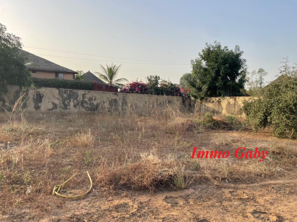Annonce immobilière ref. T73